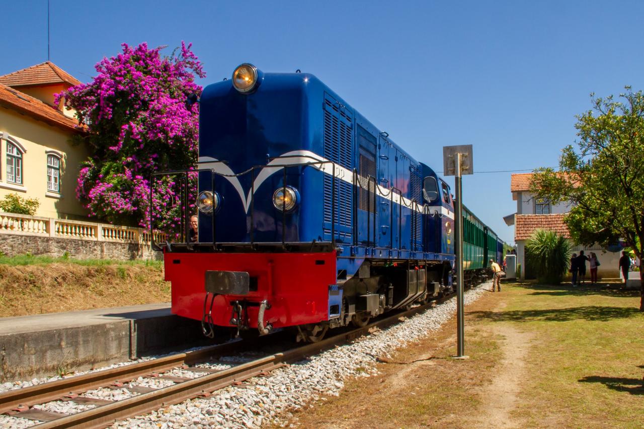 Comboio Histórico - Edição  Verão 2021